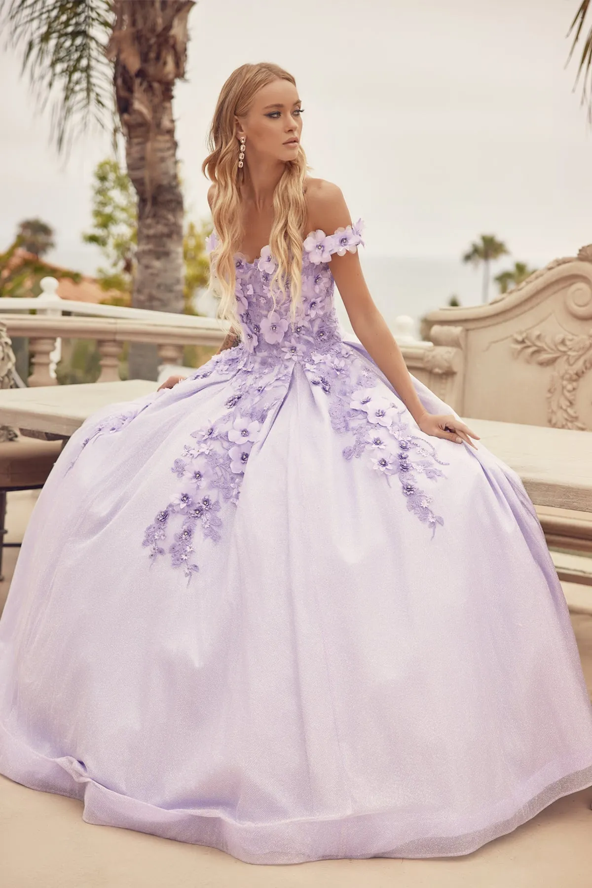 Floral Lace Illusion Sweetheart Ball Gown with 3D Floral Applique | Long Evening Prom Gown