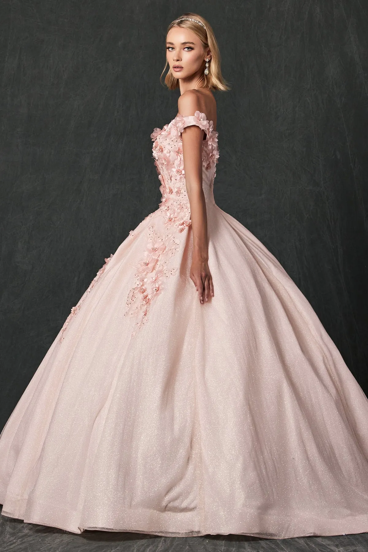 Floral Lace Illusion Sweetheart Ball Gown with 3D Floral Applique | Long Evening Prom Gown