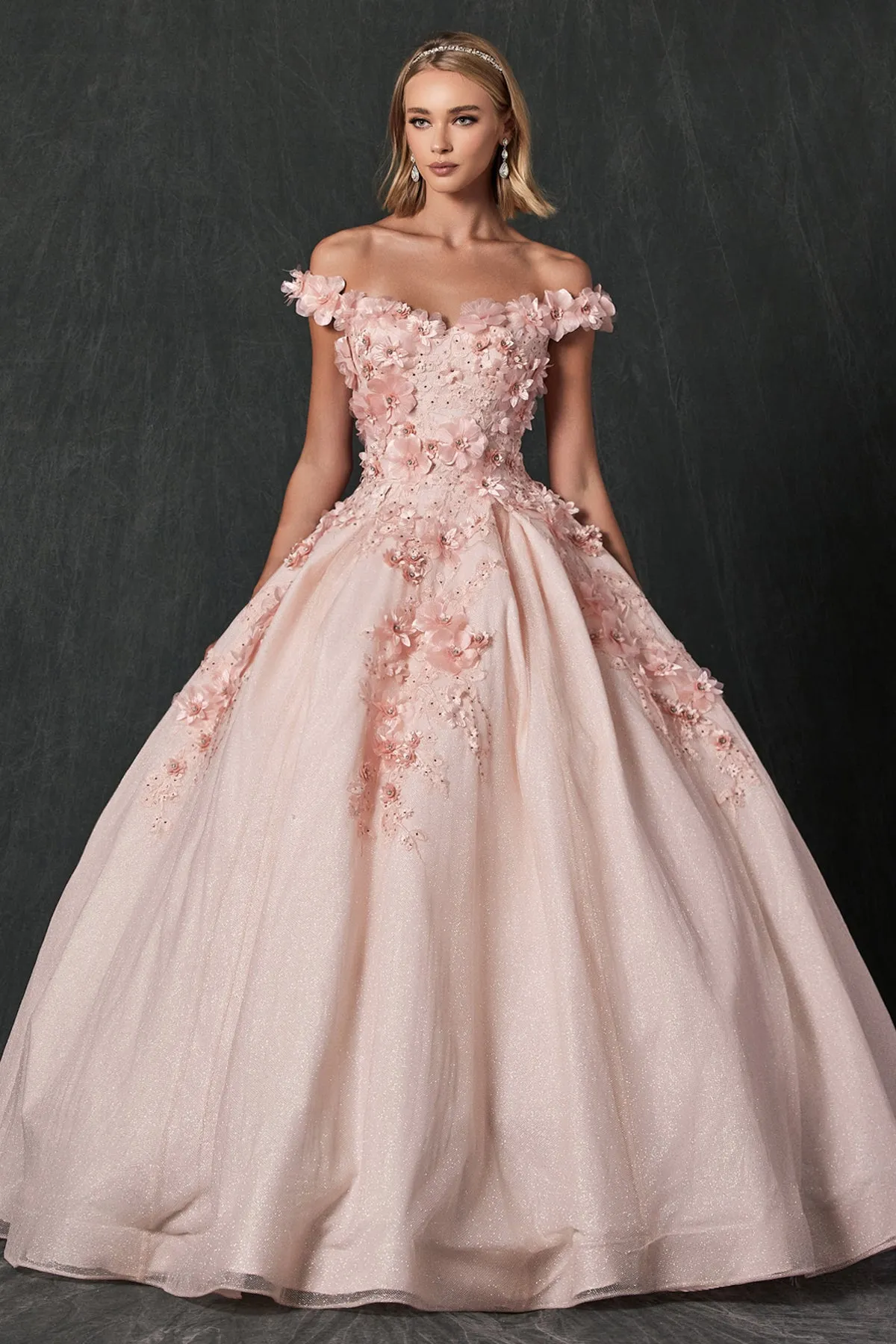 Floral Lace Illusion Sweetheart Ball Gown with 3D Floral Applique | Long Evening Prom Gown