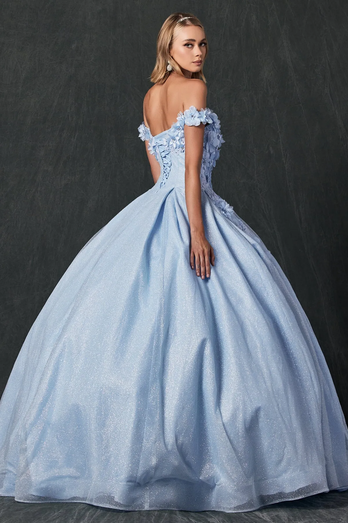 Floral Lace Illusion Sweetheart Ball Gown with 3D Floral Applique | Long Evening Prom Gown