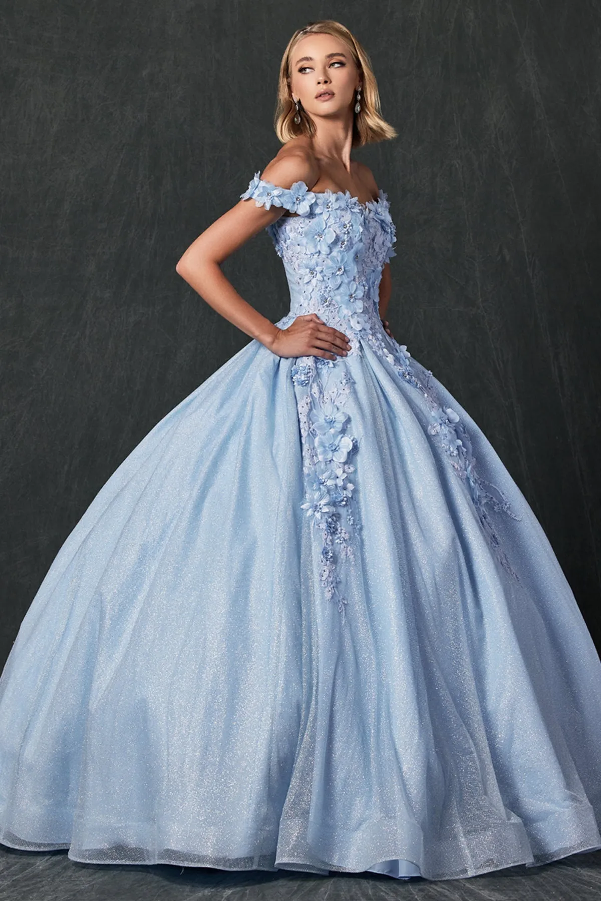 Floral Lace Illusion Sweetheart Ball Gown with 3D Floral Applique | Long Evening Prom Gown