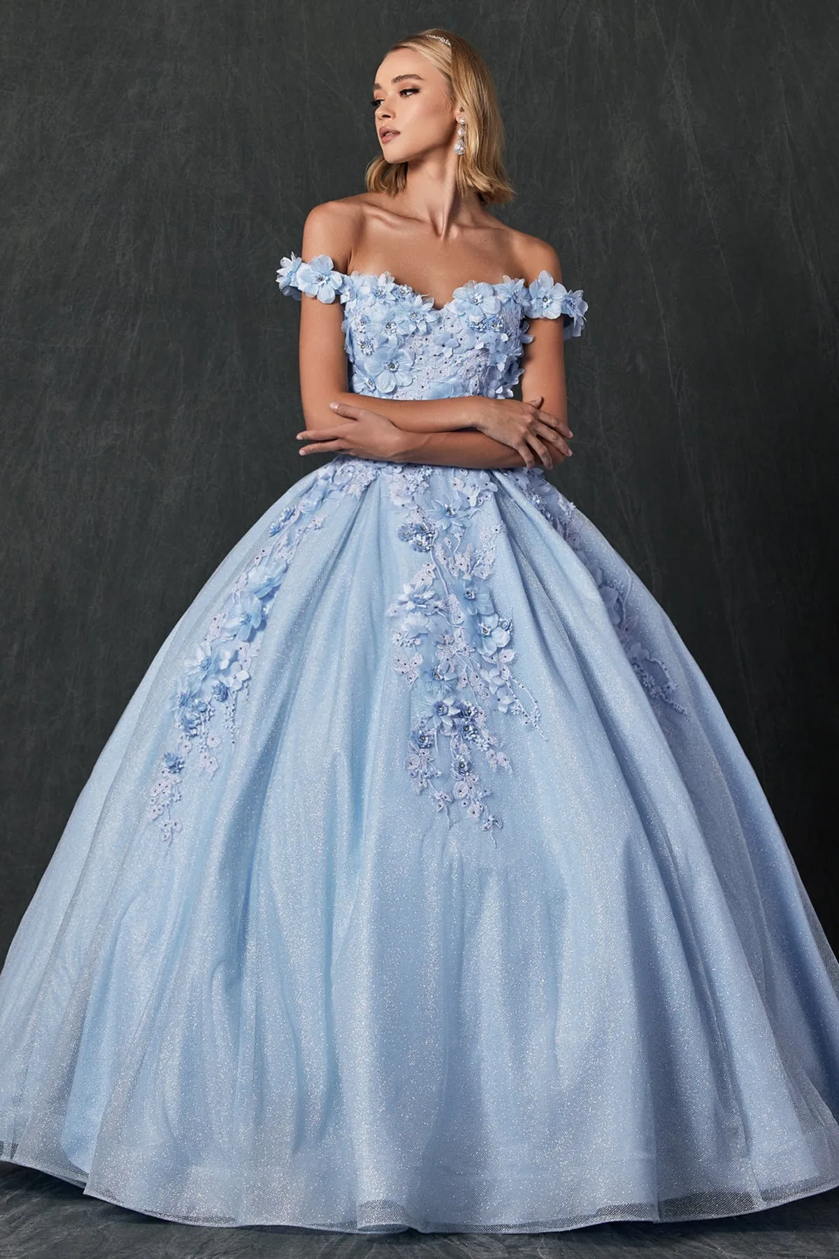 Floral Lace Illusion Sweetheart Ball Gown with 3D Floral Applique | Long Evening Prom Gown