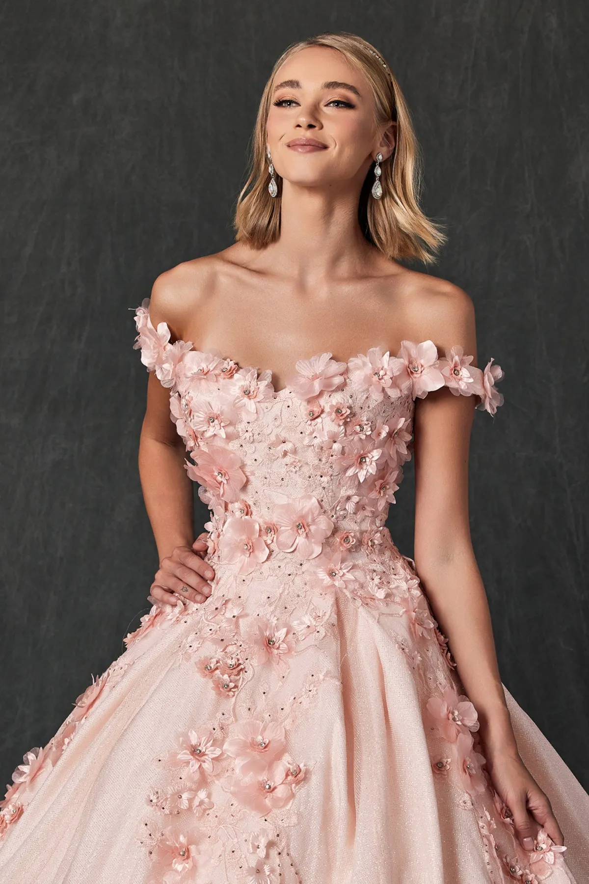 Floral Lace Illusion Sweetheart Ball Gown with 3D Floral Applique | Long Evening Prom Gown