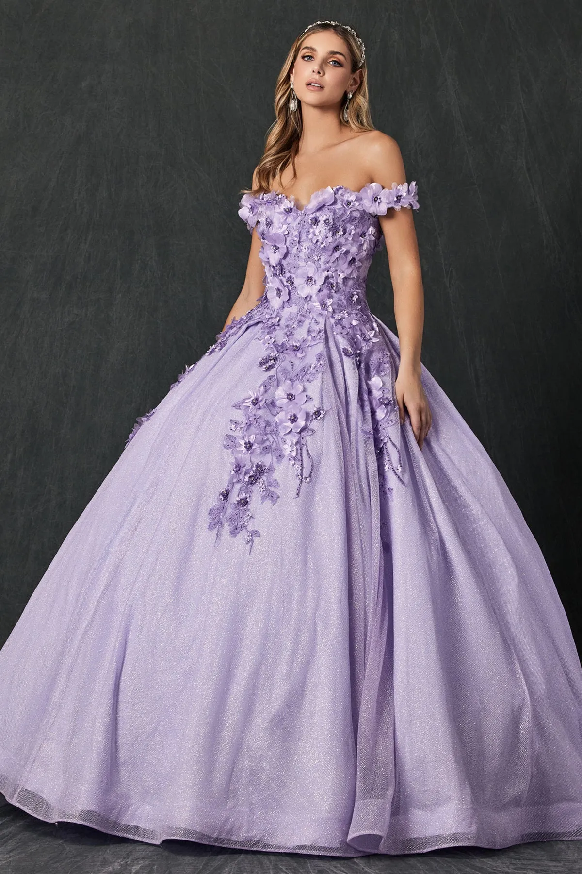 Floral Lace Illusion Sweetheart Ball Gown with 3D Floral Applique | Long Evening Prom Gown