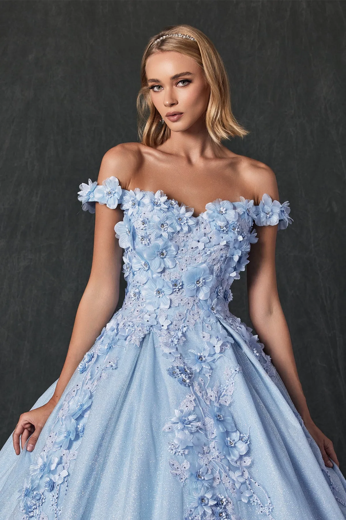 Floral Lace Illusion Sweetheart Ball Gown with 3D Floral Applique | Long Evening Prom Gown