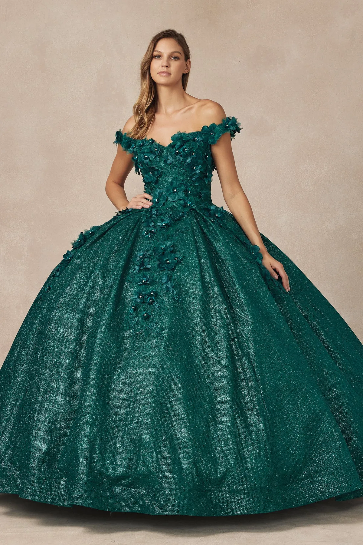 Floral Lace Illusion Sweetheart Ball Gown with 3D Floral Applique | Long Evening Prom Gown